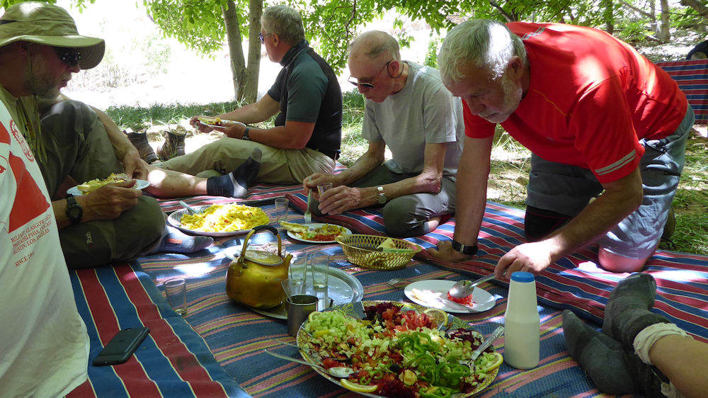 Lunch in a cool glade